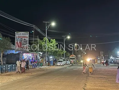 LED Street Light Plus Greening Green là một loại kinh nghiệm
